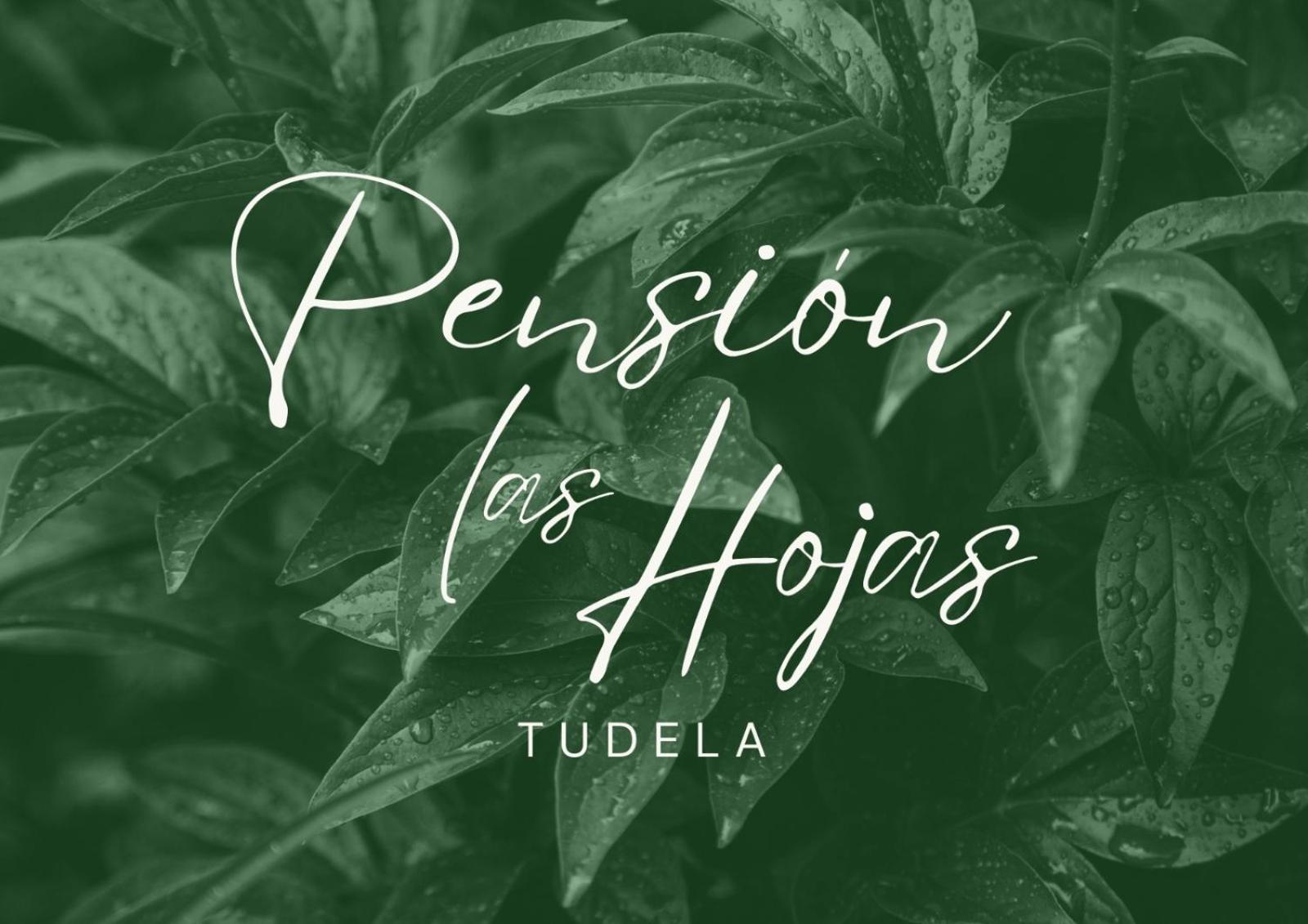 Pension Las Hojas Tudela Extérieur photo